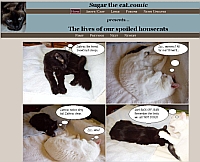 Sugar the Cat website snapshot